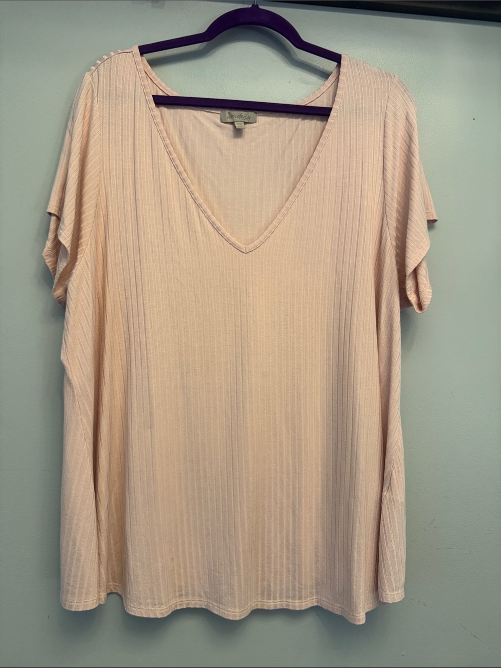 Wonderly Blush Pink V-Neck Ribbed Short Sleeve Tee